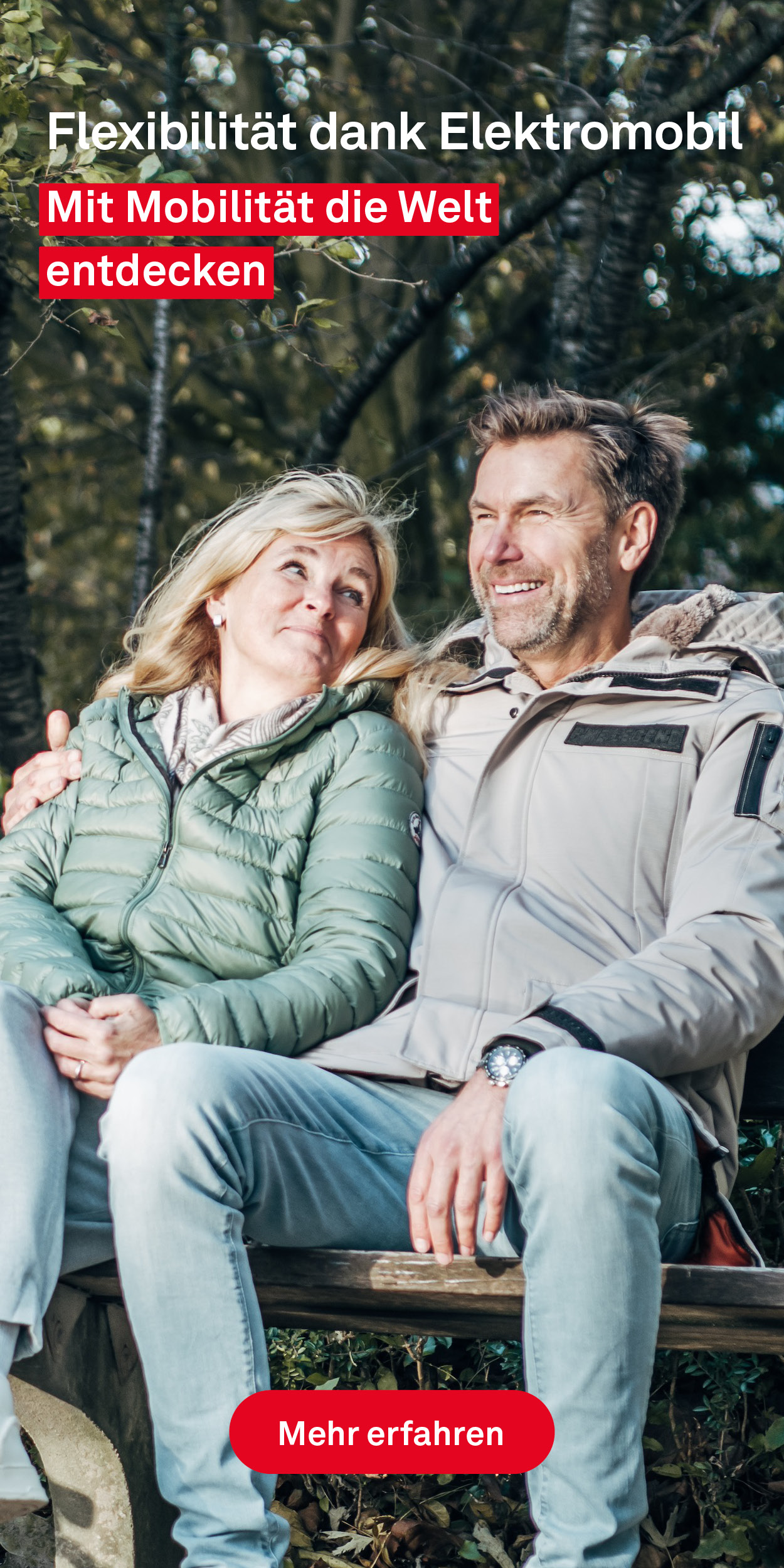 Elektromobile-Banner