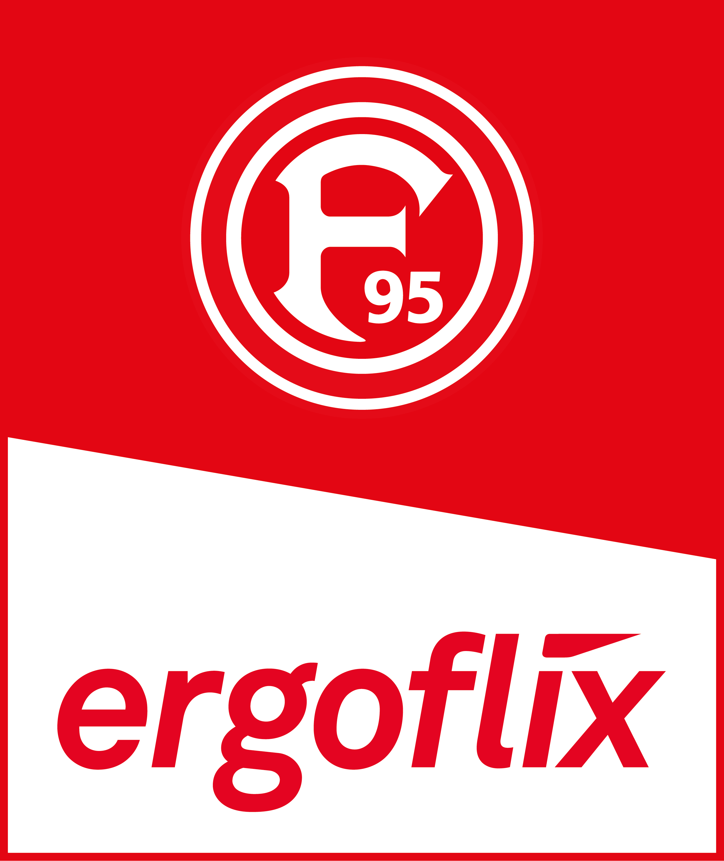 ergoflix LX E-Rollstuhl