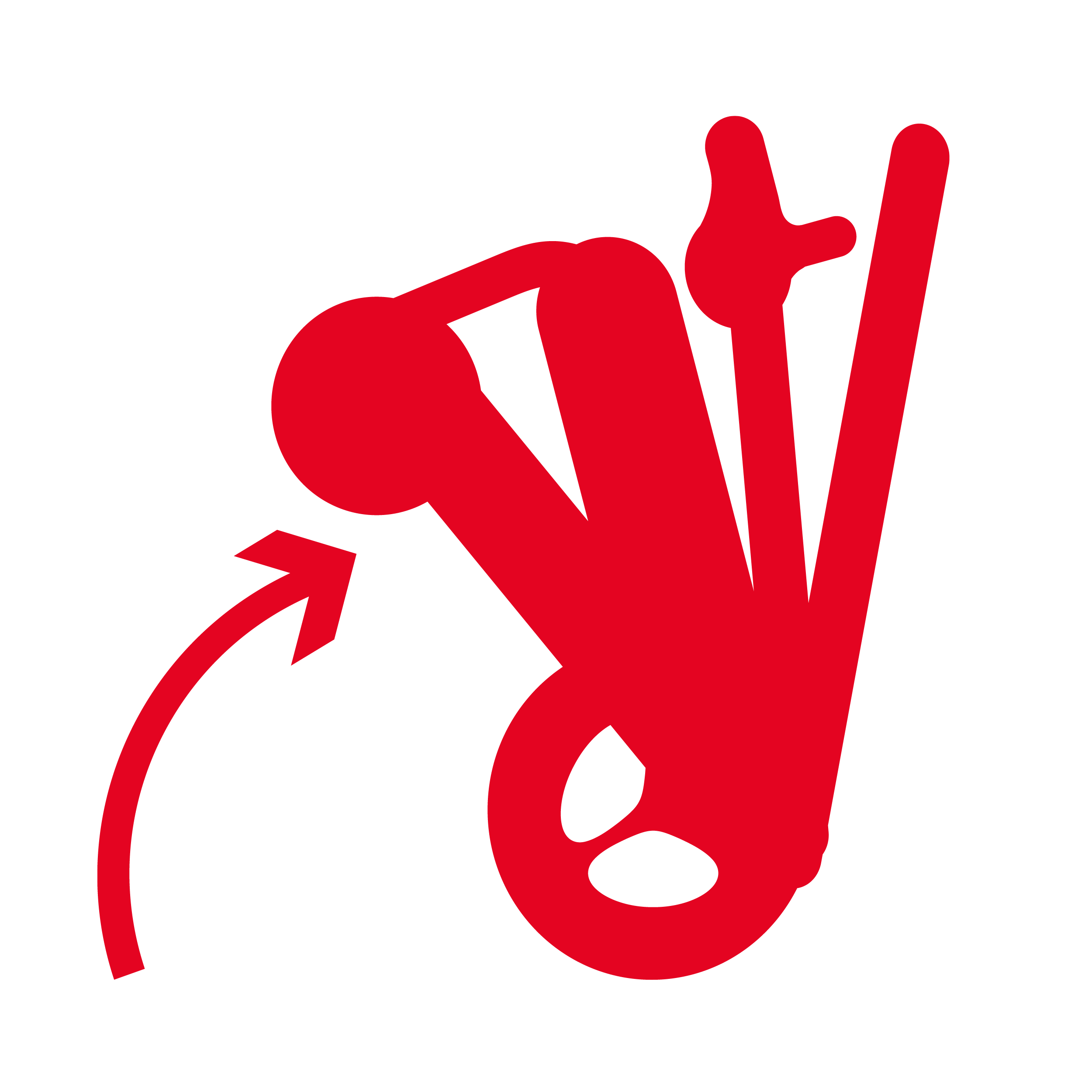 F95 Design Icon