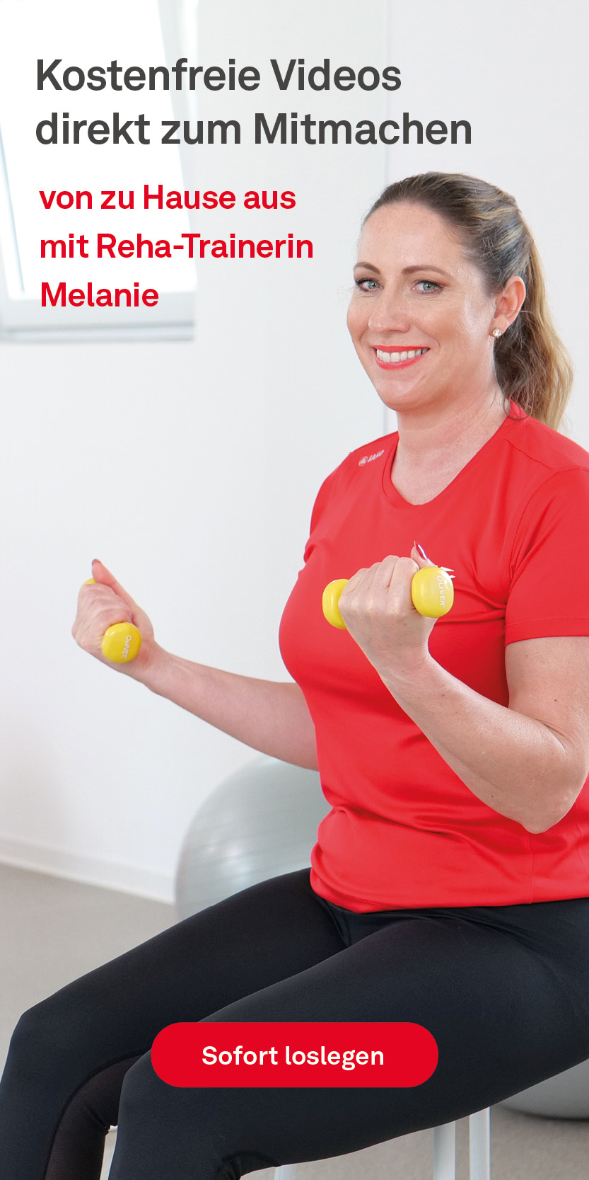 Rollstuhlsport-Banner